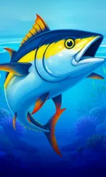 Big Boat Big Catch